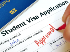 权威解答！疫情期间，美国留学生签证政策和条例
