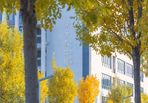 泰山科技学院：以应用型教育破局“学历内卷”的密码