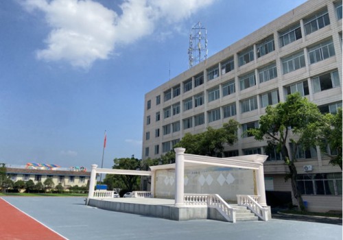 2026年艺体特长班三校生：这三大正规路径，哪条才是升学最优选？